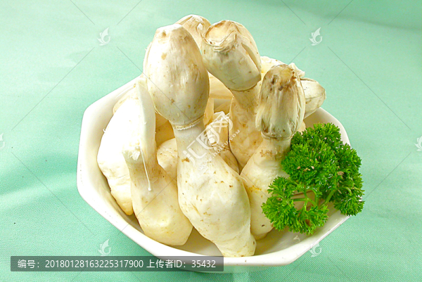一份雞腿菇