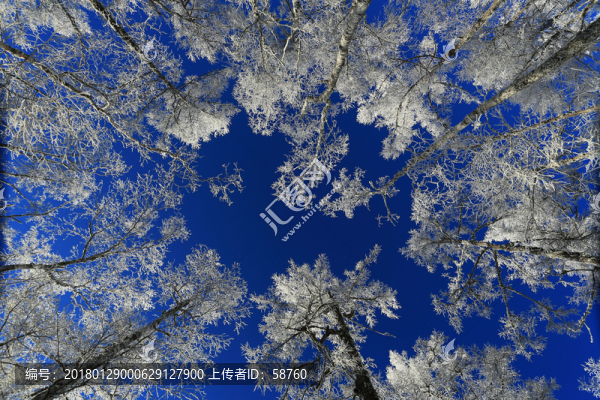 林海雪原霧凇