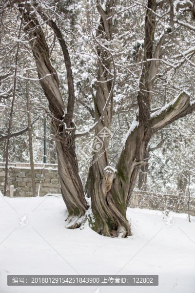 黃帝陵雪景