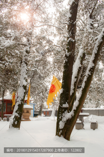 黃帝陵雪景