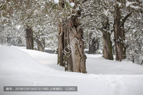 黃帝陵雪景