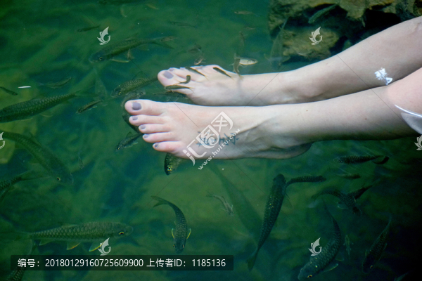 魚療SPA