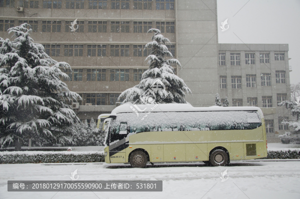 雪中的汽車