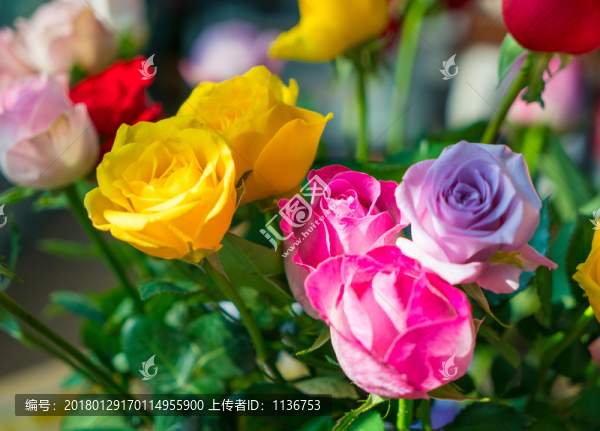 鮮花