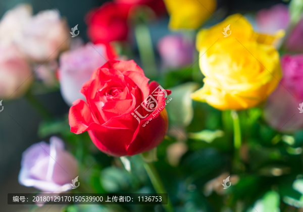 鮮花