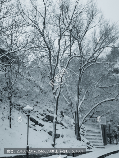雪景