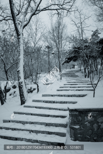 雪中的臺階
