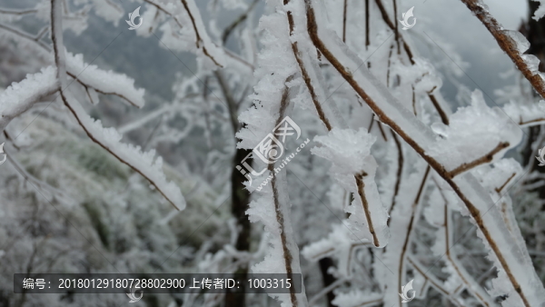 桂林市興安縣貓兒山霧凇景色