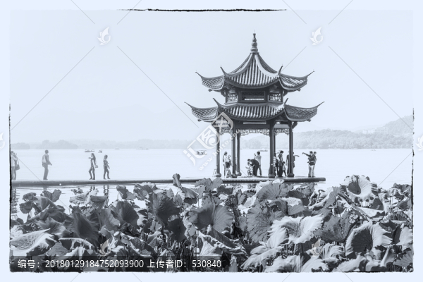 西湖黑白照片