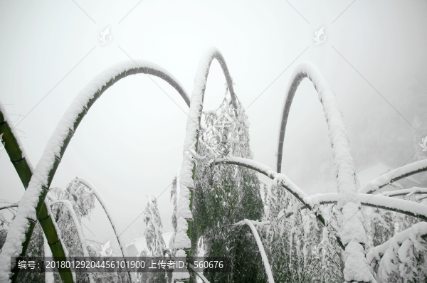 雪景