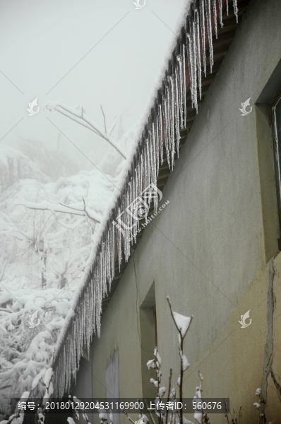 雪景