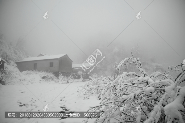 雪景