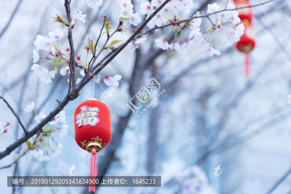 春意鬧枝頭