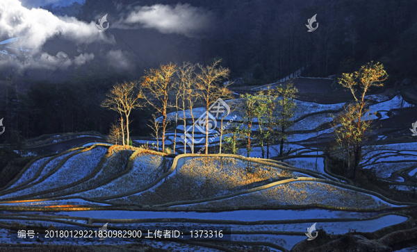 元陽(yáng)梯田