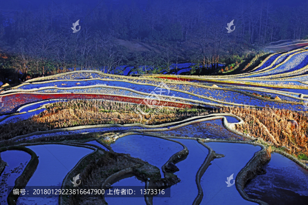 元陽梯田