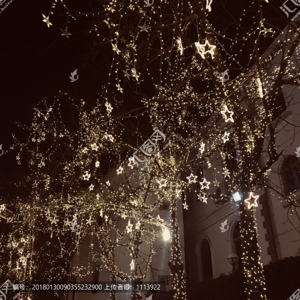 星燈,樹燈