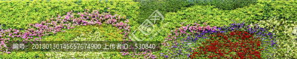 花墻,大畫幅