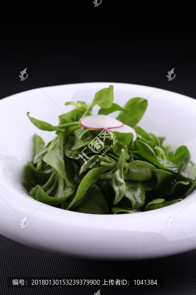 養(yǎng)生穿心蓮