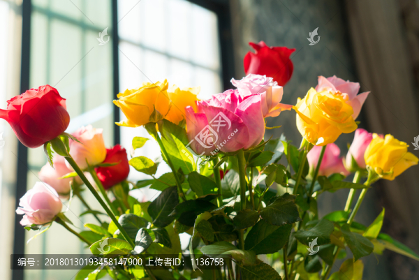 鮮花素材