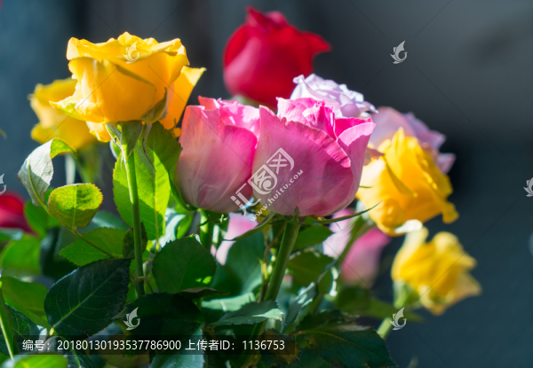 窗前鮮花