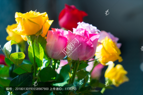 窗前鮮花