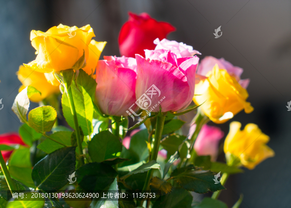 窗前鮮花