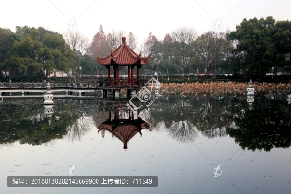三潭映月荷塘景觀