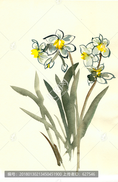 手繪水仙花