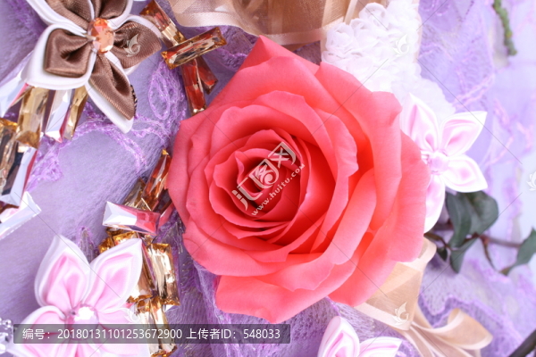 玫瑰花
