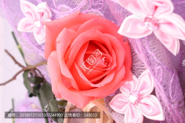 玫瑰花