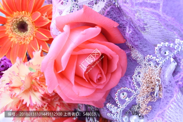玫瑰花