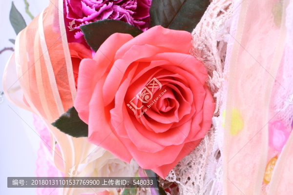 玫瑰花