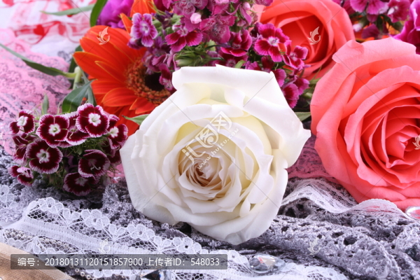 玫瑰花