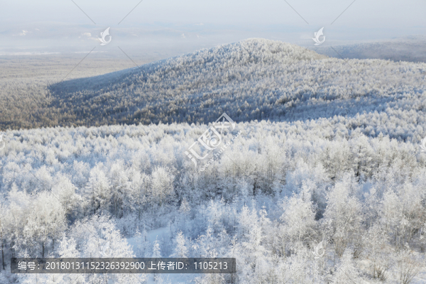 雪域霧凇