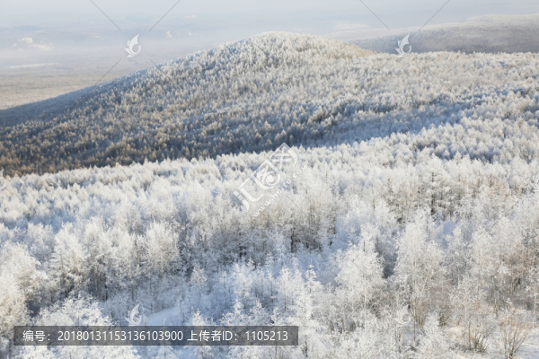 雪域霧凇