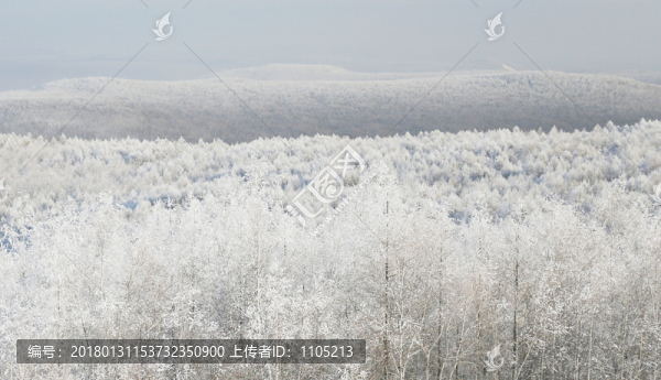 雪域霧凇