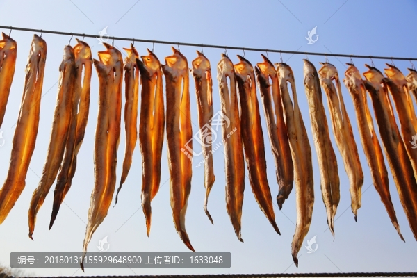 曬魚干,大連旅順
