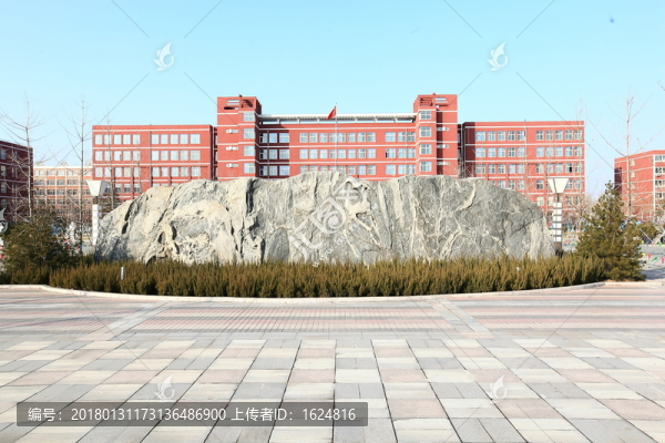 操場,教學樓,校園,學校