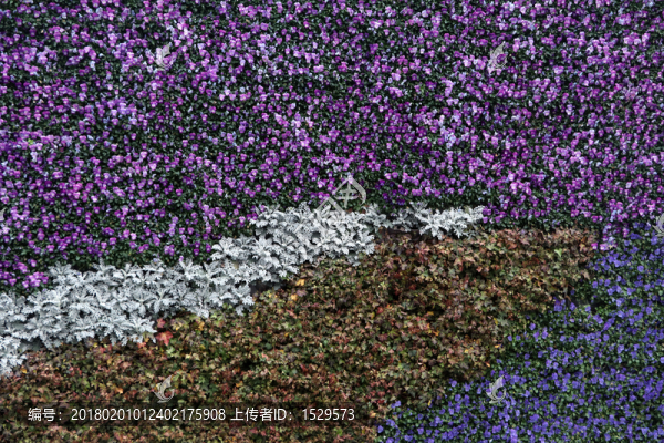 花墻