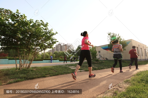 晨跑,慢跑,跑步