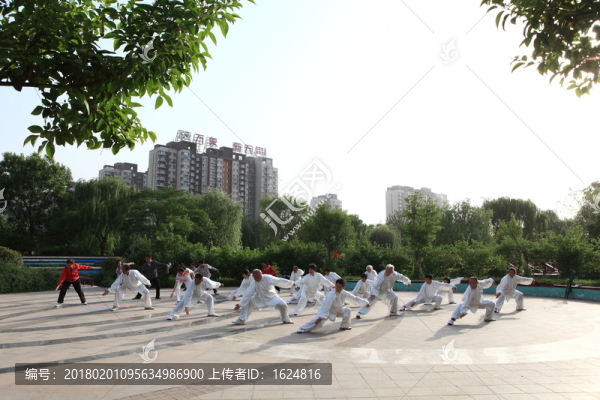 晨練,太極拳,老年人