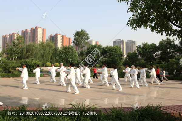 晨練,太極拳,老年人