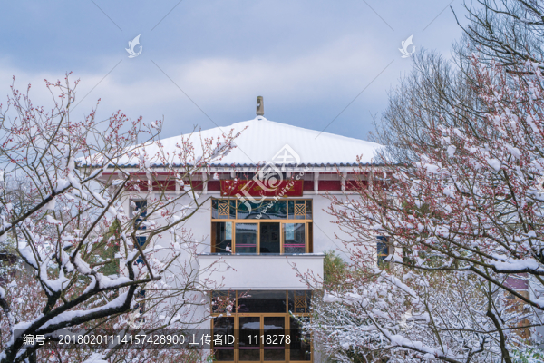梅園雪景