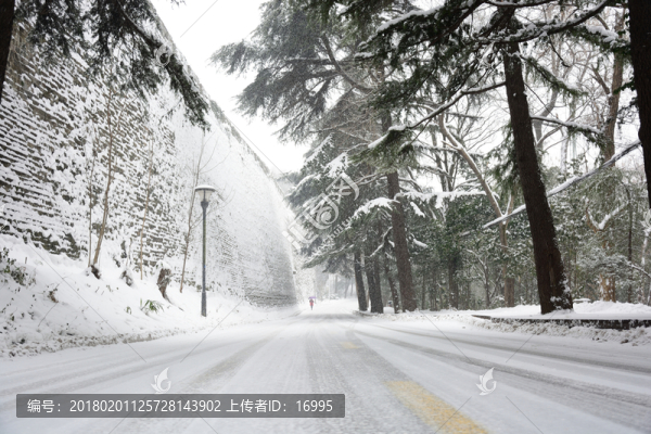 南京紫金山雪景