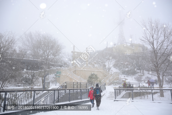 南京紫金山雪景