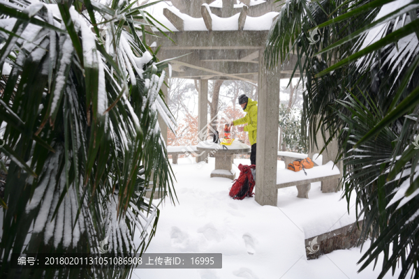 南京紫金山雪景