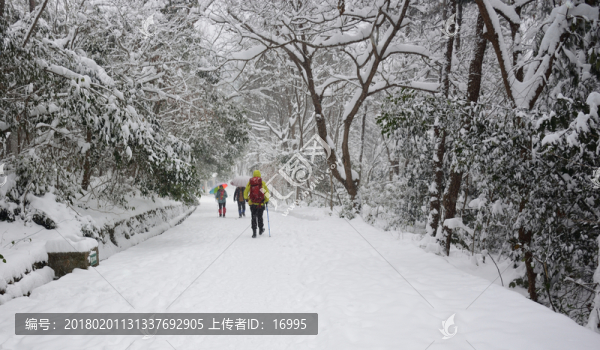 南京紫金山雪景