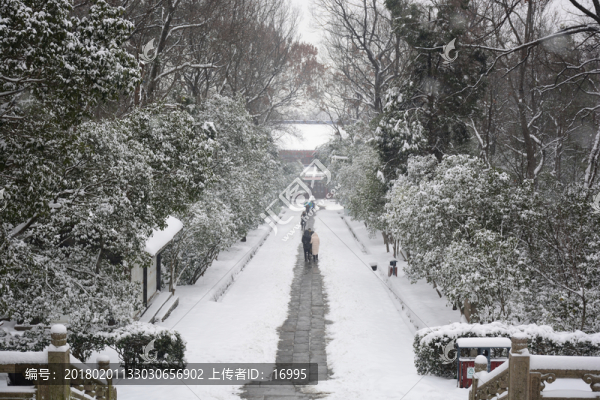 南京靈谷寺雪景