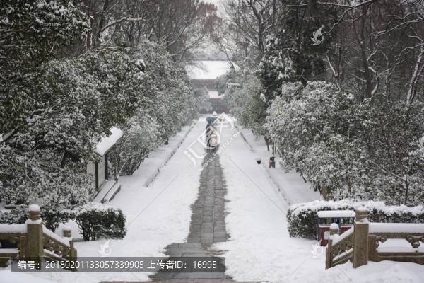 南京靈谷寺雪景