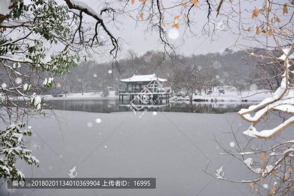 南京紫金山雪景